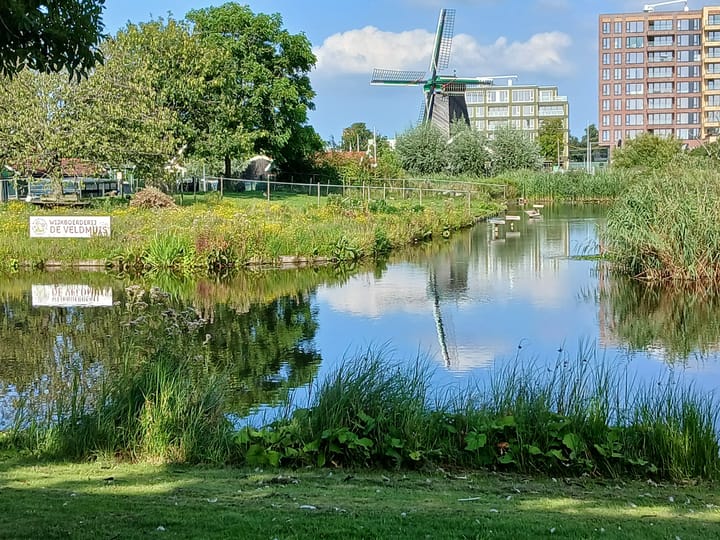 Foto 34 van Jan Wandelaarpad 4