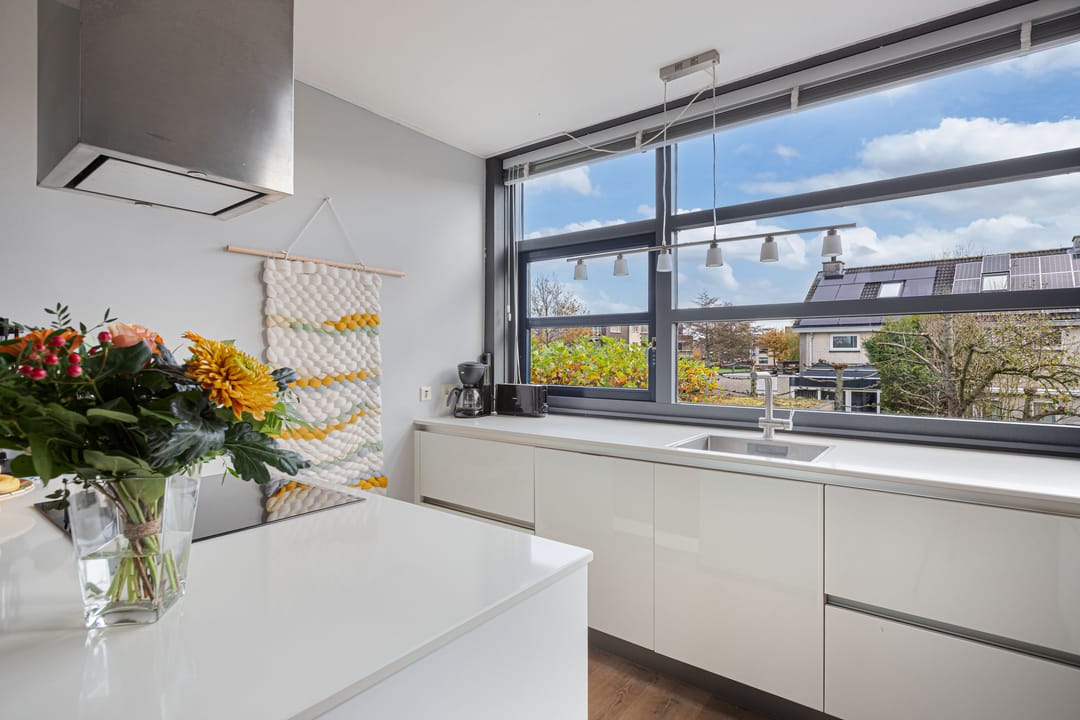 Photo 28 of Wiardaplantage 100