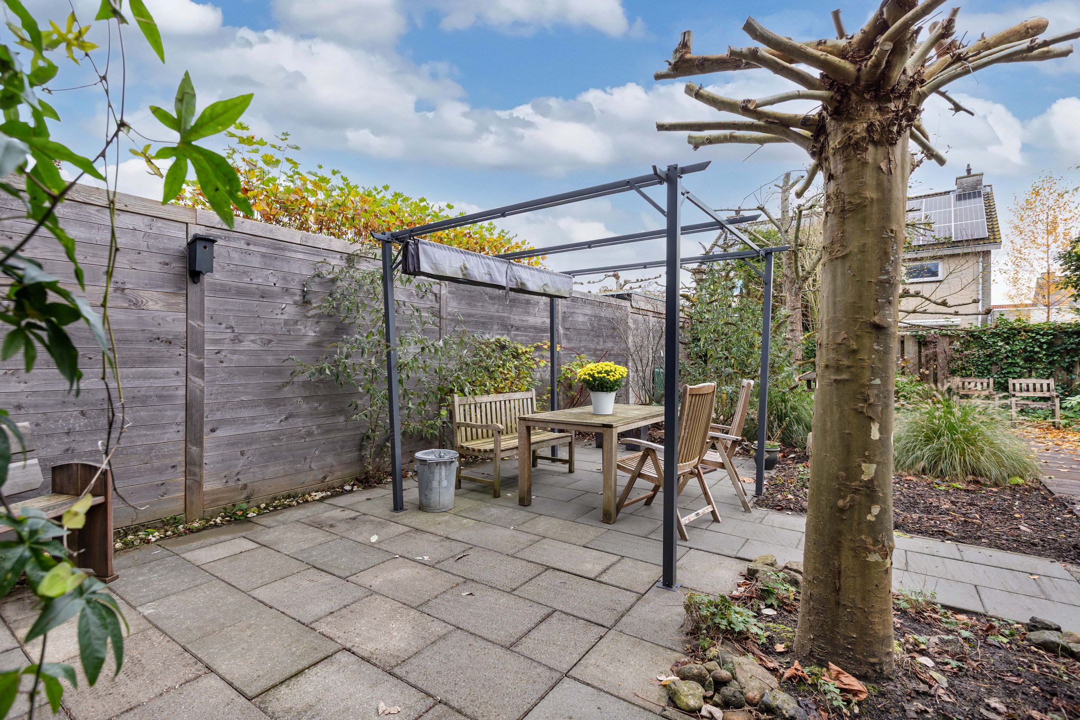 Photo 33 of Wiardaplantage 100