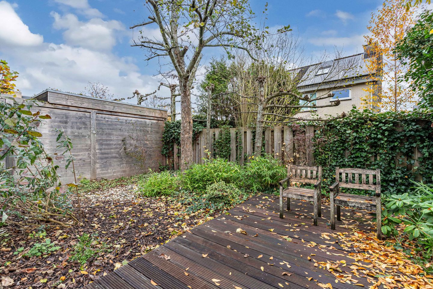 Photo 34 of Wiardaplantage 100