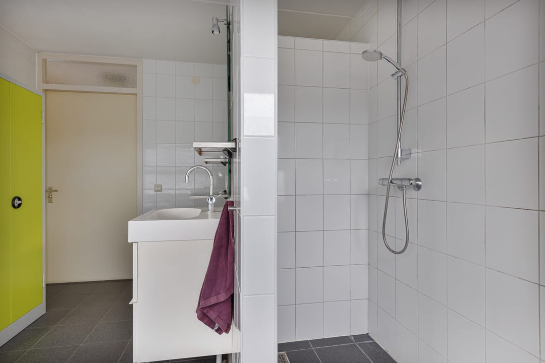 Photo 47 of Wiardaplantage 100