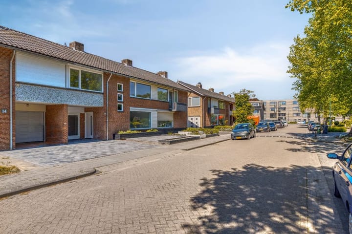 Photo 5 of Corvus 12