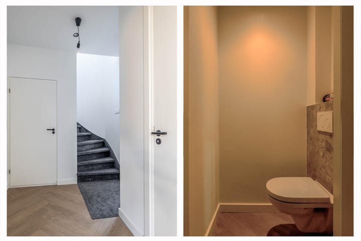 Photo 9 of Corvus 12