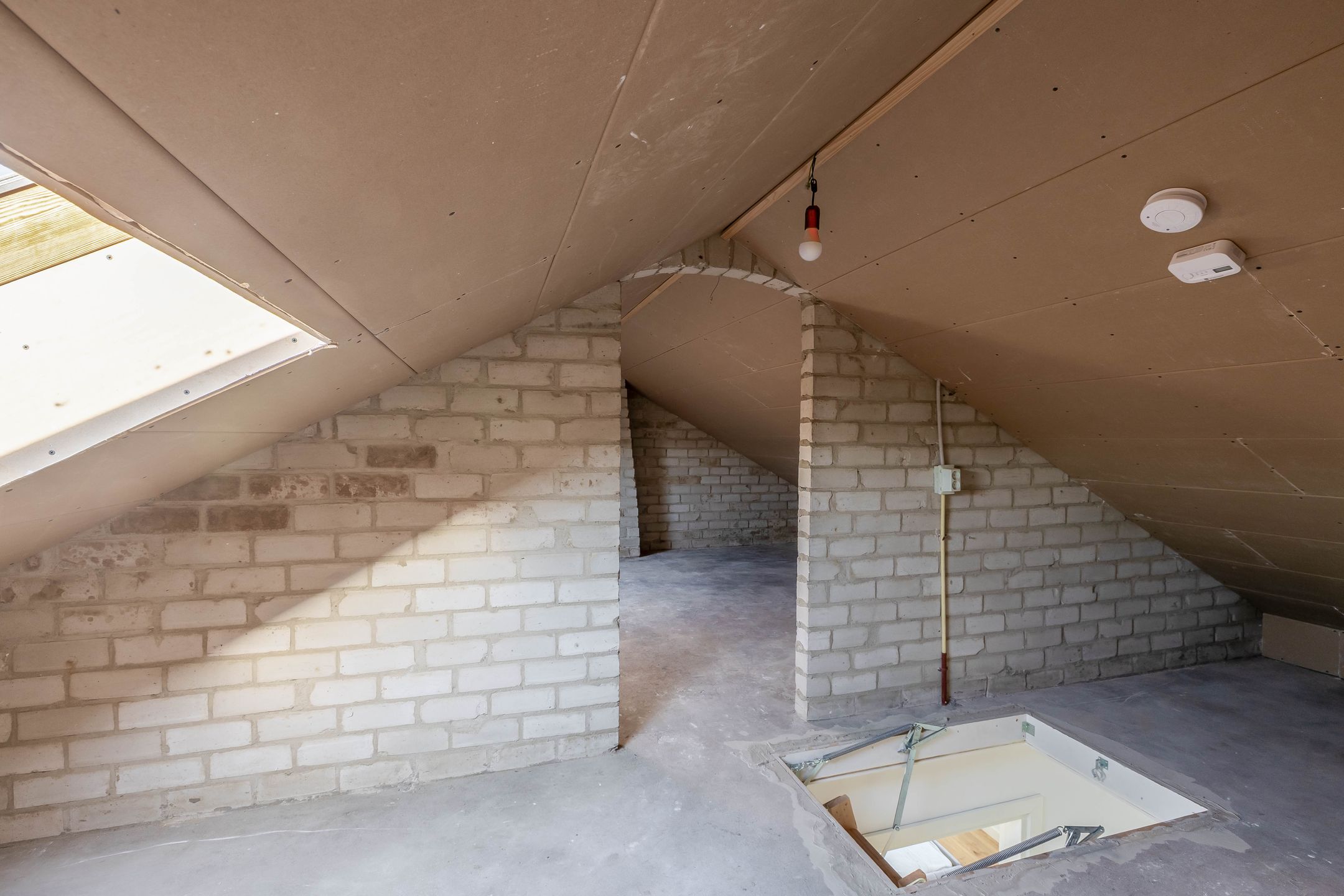 Foto 42 van Corvus 12