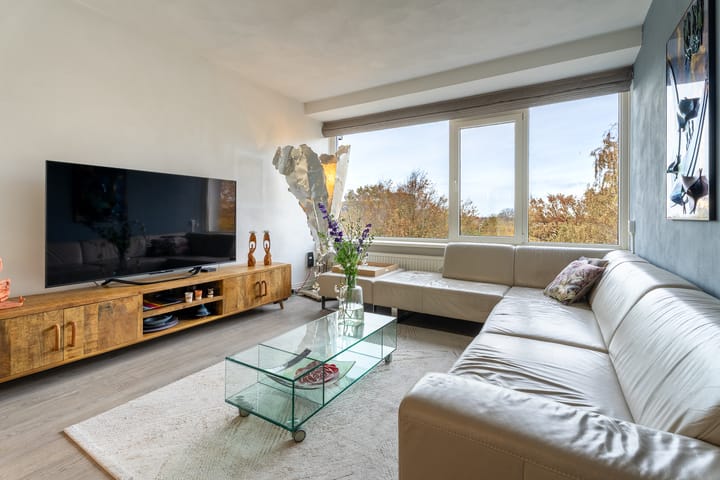 Photo 4 of Professor Cobbenhagenlaan 398