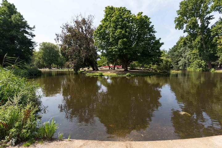 Foto 20 van Eerste Helmersstraat 218-H