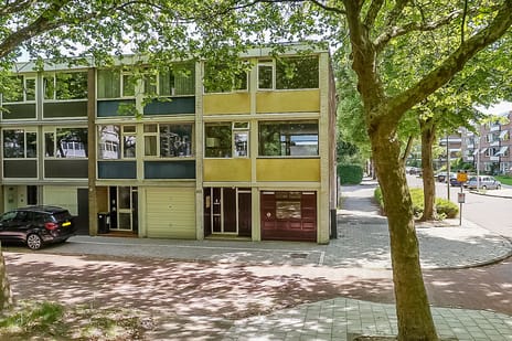 Van Nijenrodeweg thumbnail