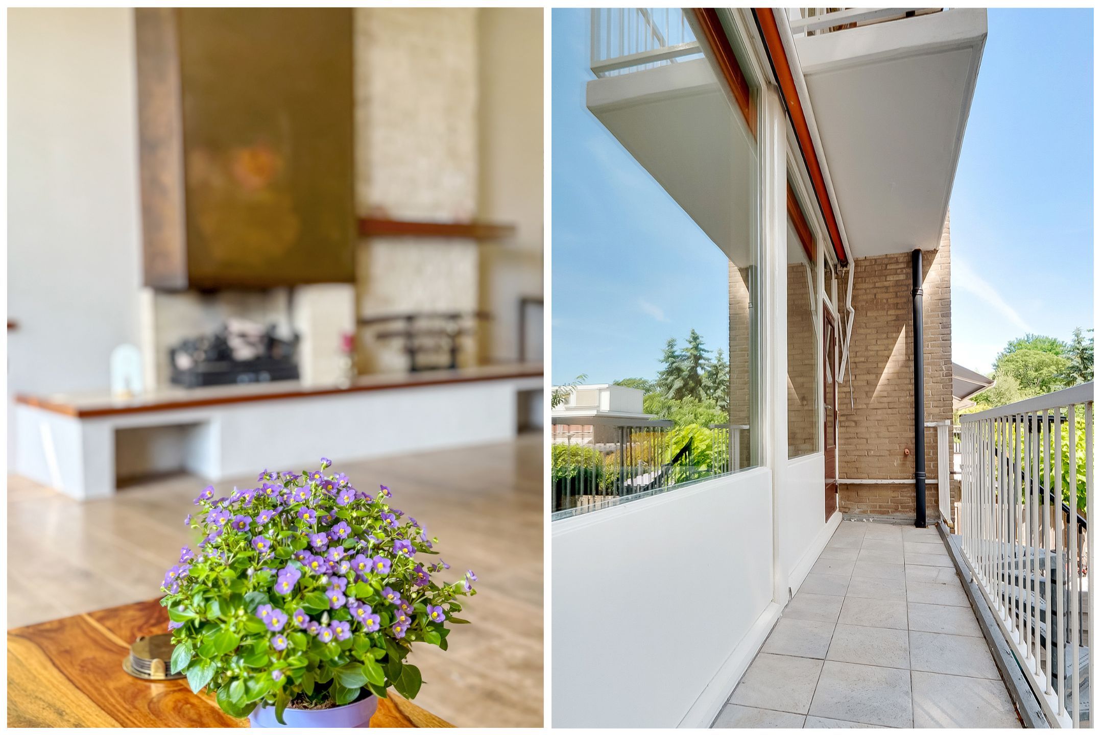 Foto 24 van Van Nijenrodeweg 917