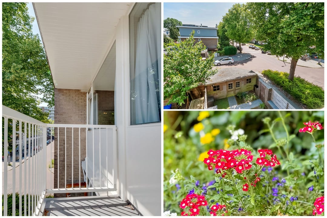 Foto 28 van Van Nijenrodeweg 917