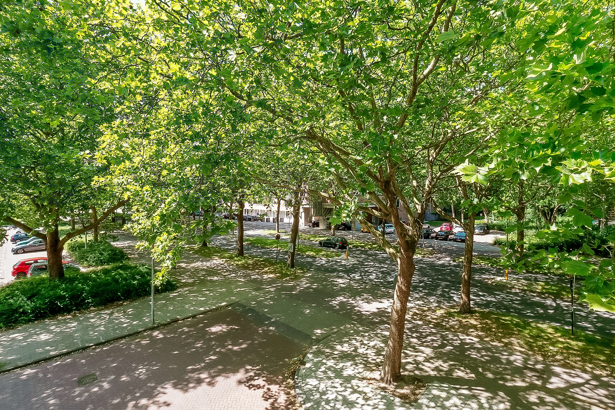 Foto 36 van Van Nijenrodeweg 917