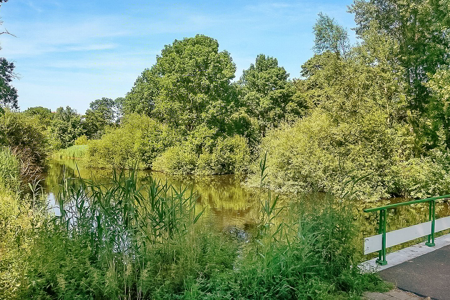 Foto 55 van Van Nijenrodeweg 917