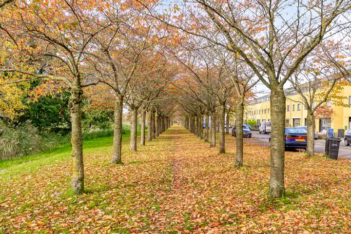 Photo 63 of Karmozijnhof 2