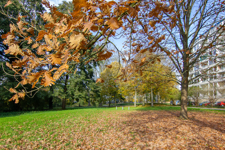 Photo 41 of Engelandlaan 152