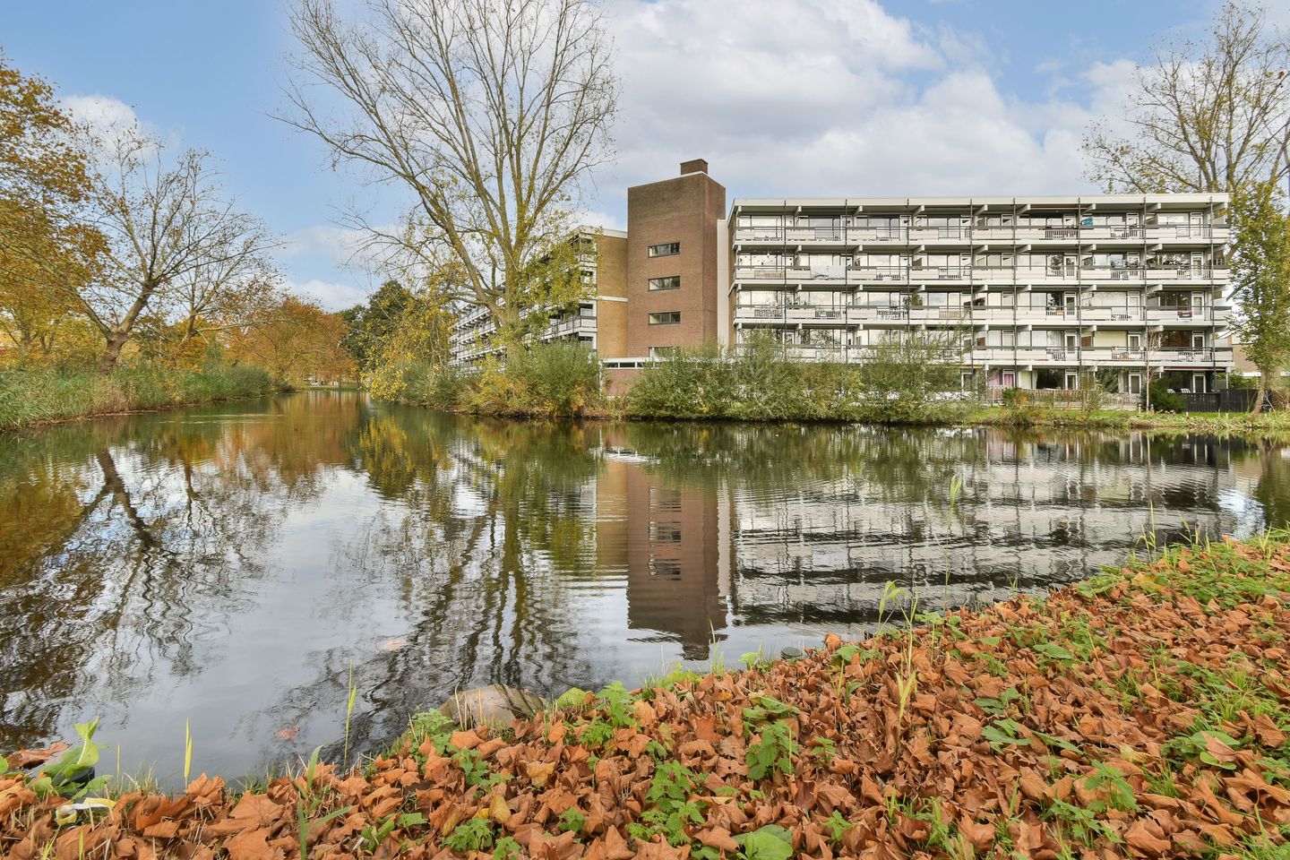 Foto 19 van Wilde Wingerdlaan 123