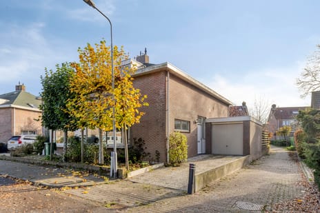 undefined main image