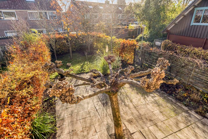 Foto 30 van Coxstraat 33