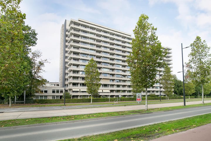 Herman Gorterlaan 335 main image