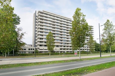 Herman Gorterlaan thumbnail