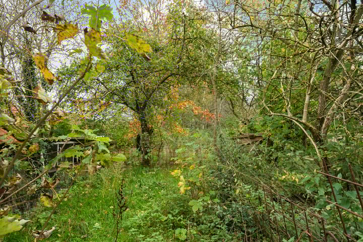 Photo 15 of Weerdingerstraat 167