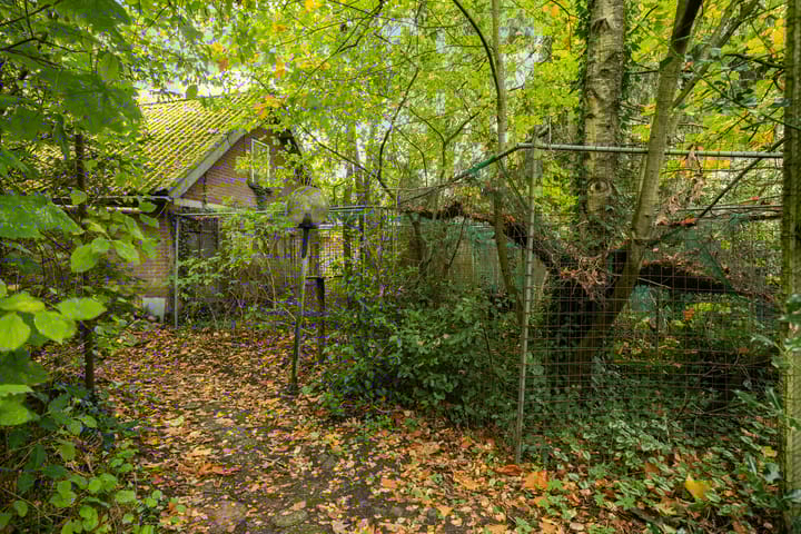 Photo 19 of Weerdingerstraat 167