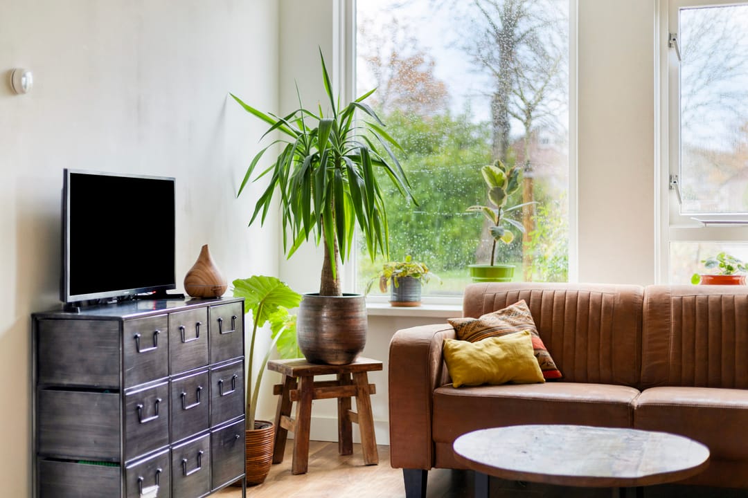 Foto 8 van Laan van Havezathen 32