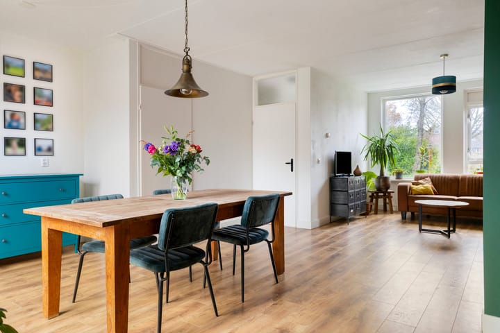 Foto 11 van Laan van Havezathen 32