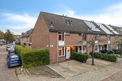 King Olivereiland thumbnail