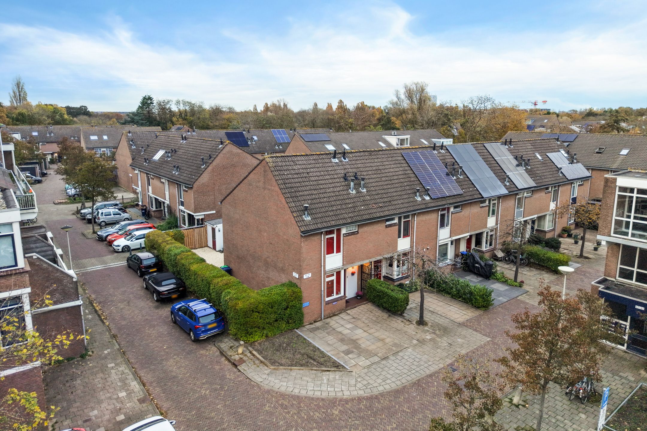 Foto 6 van King Olivereiland 76