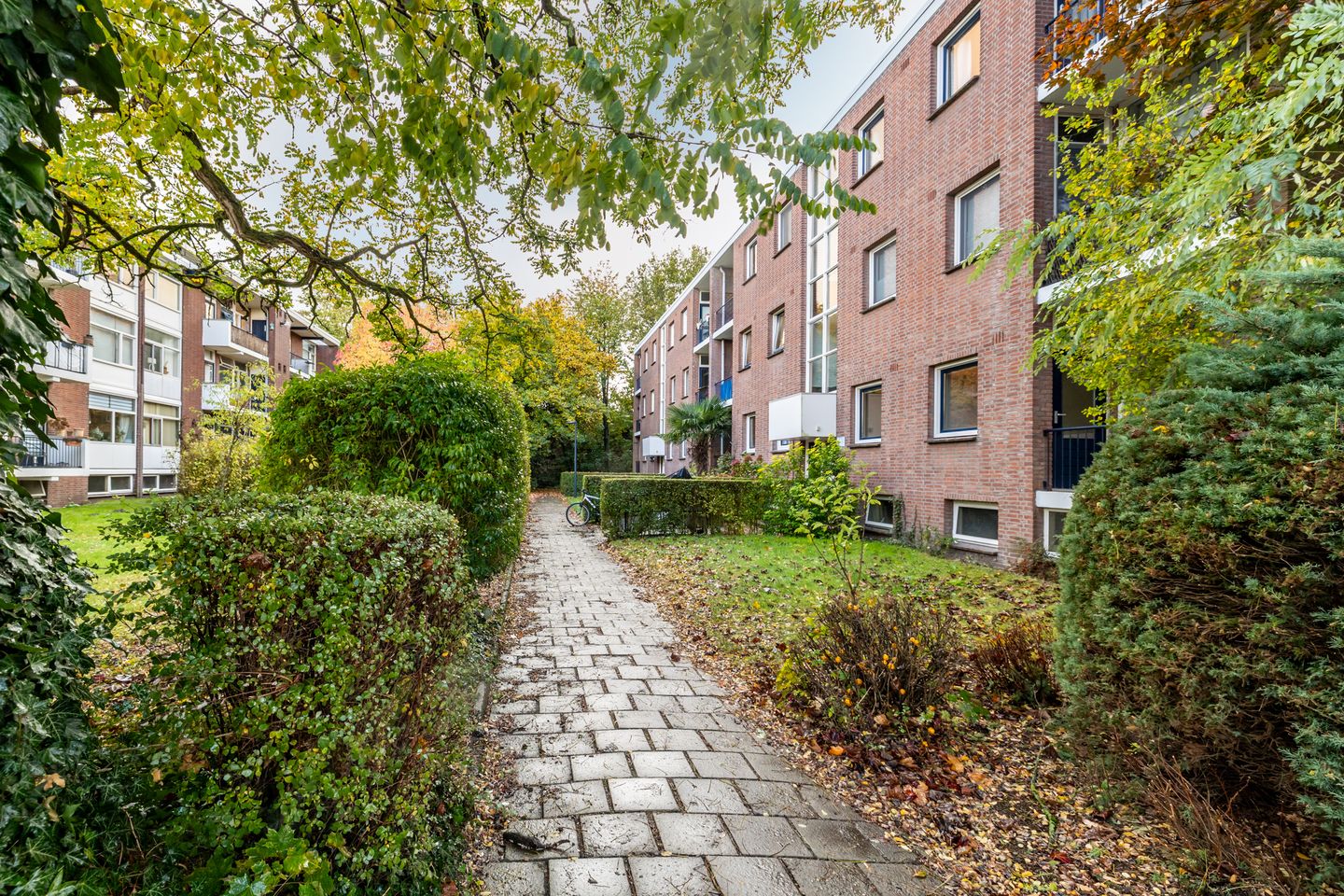 Foto 29 van Steijnlaan 72