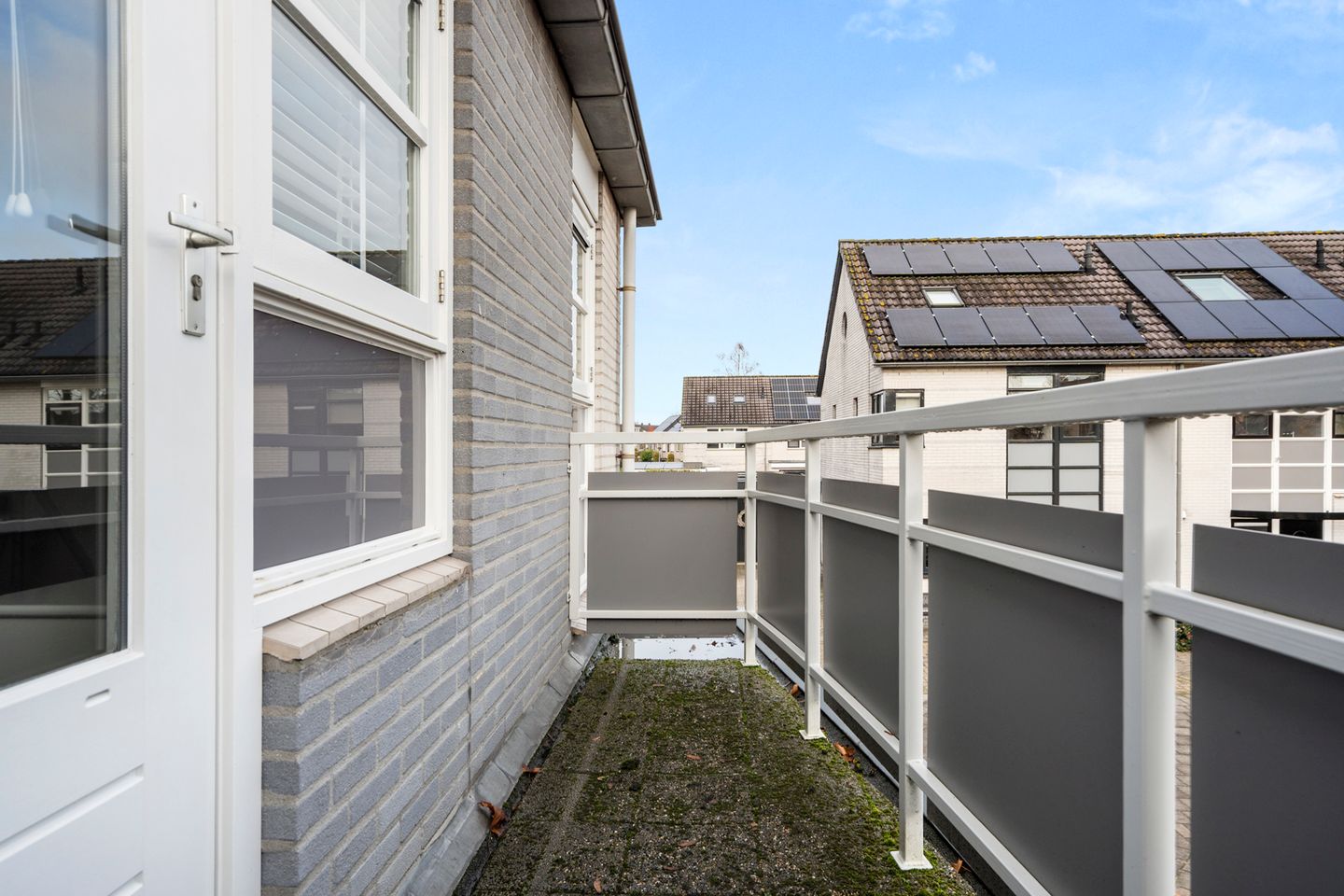 Photo 29 of Schapendrift 30