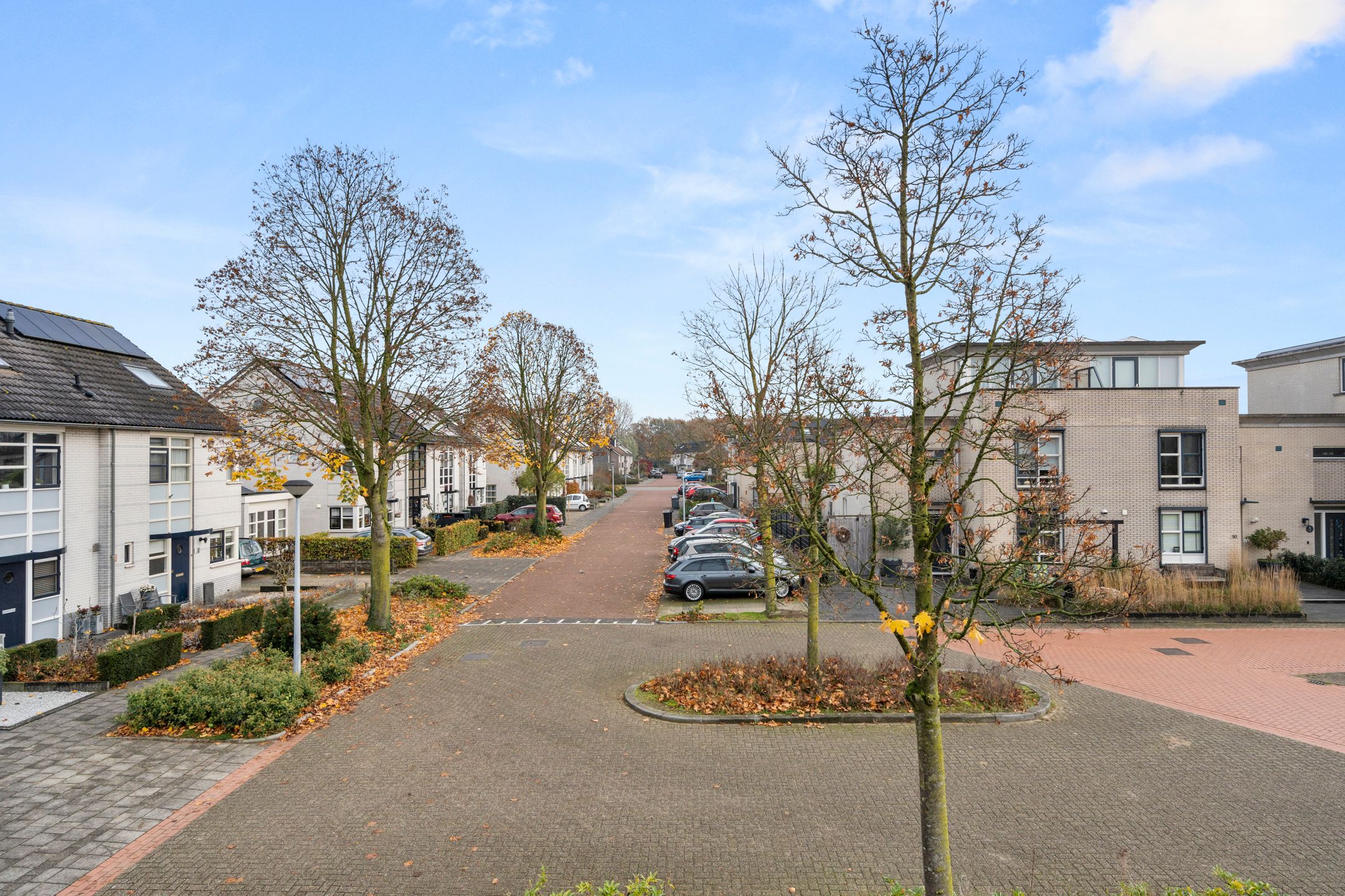 Photo 30 of Schapendrift 30