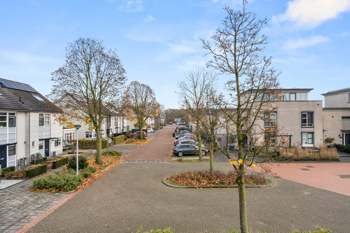 Foto 30 van Schapendrift 30