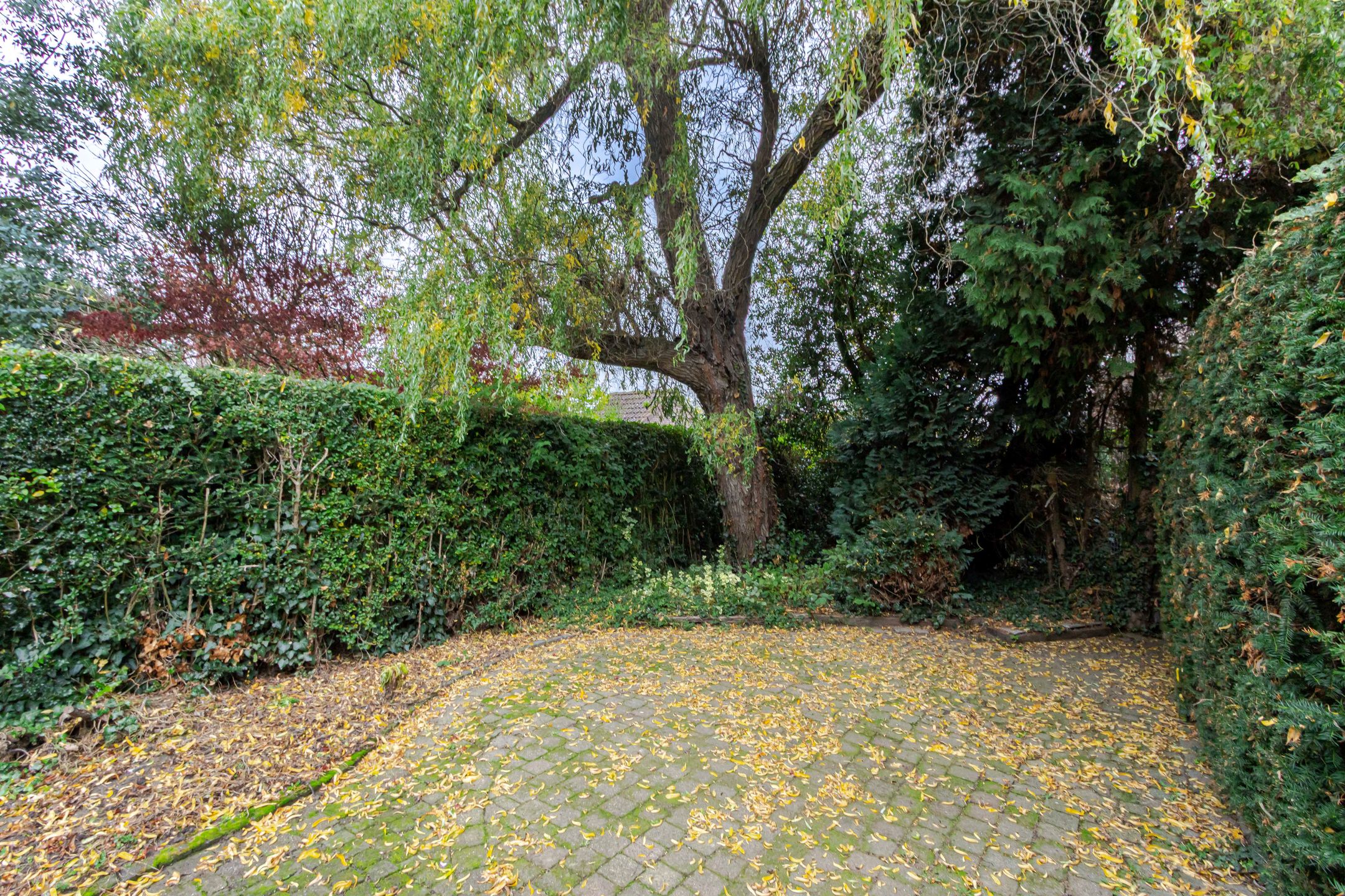 Foto 36 van Burg. Waszinkstraat 37