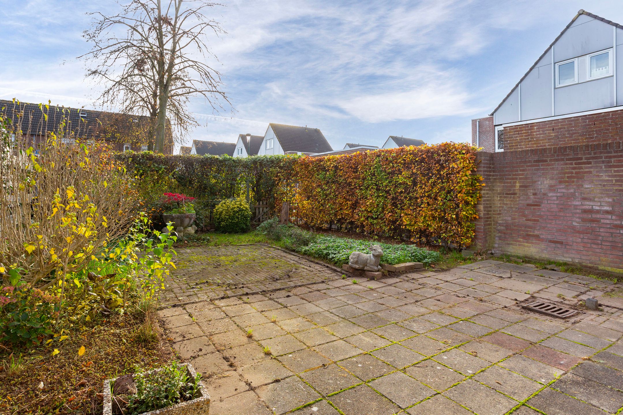 Foto 18 van Friese Steen 22