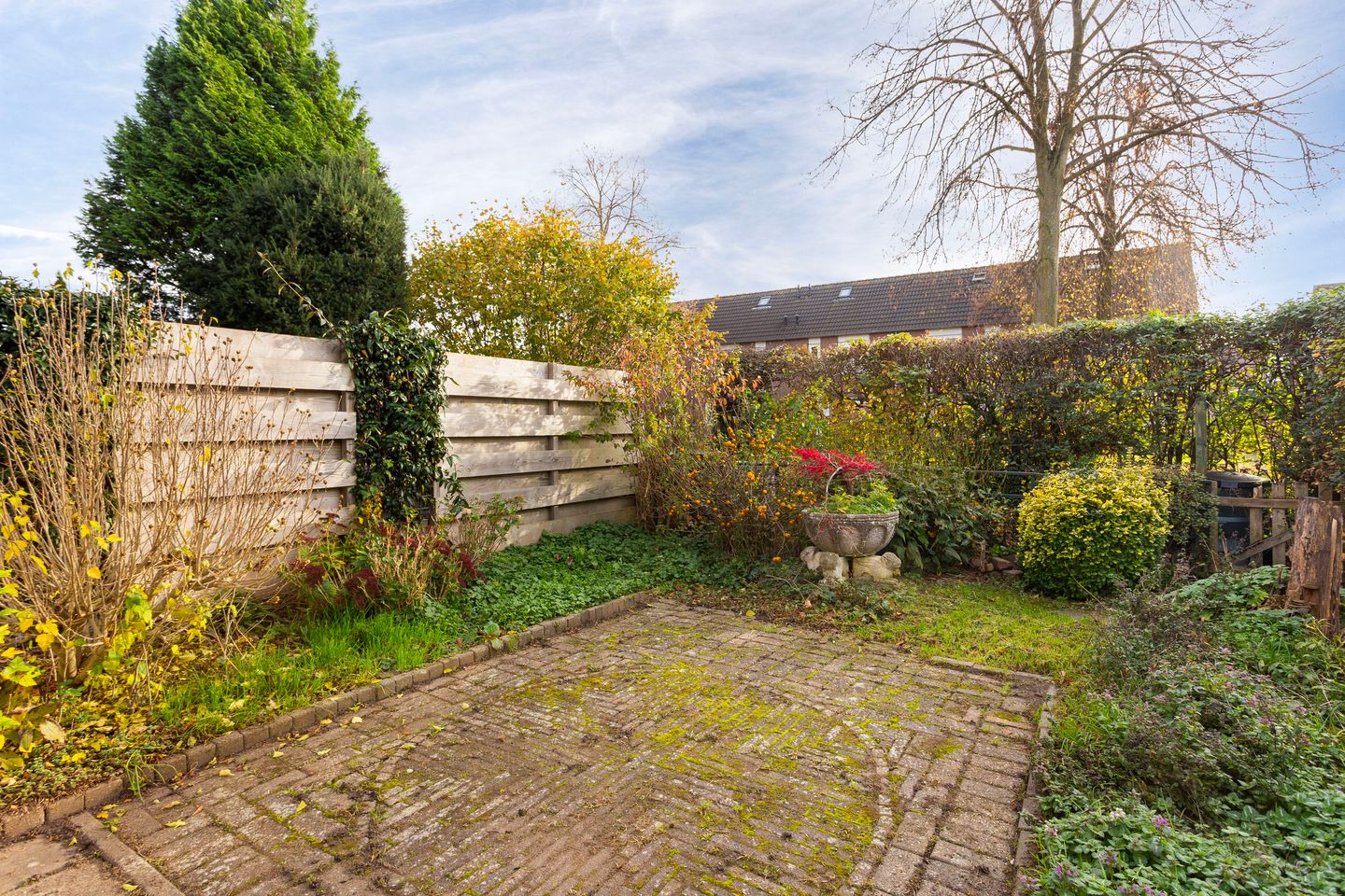 Foto 20 van Friese Steen 22