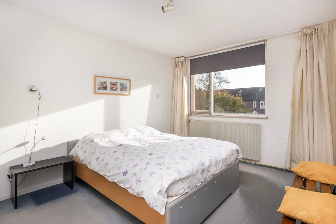 Foto 23 van Friese Steen 22