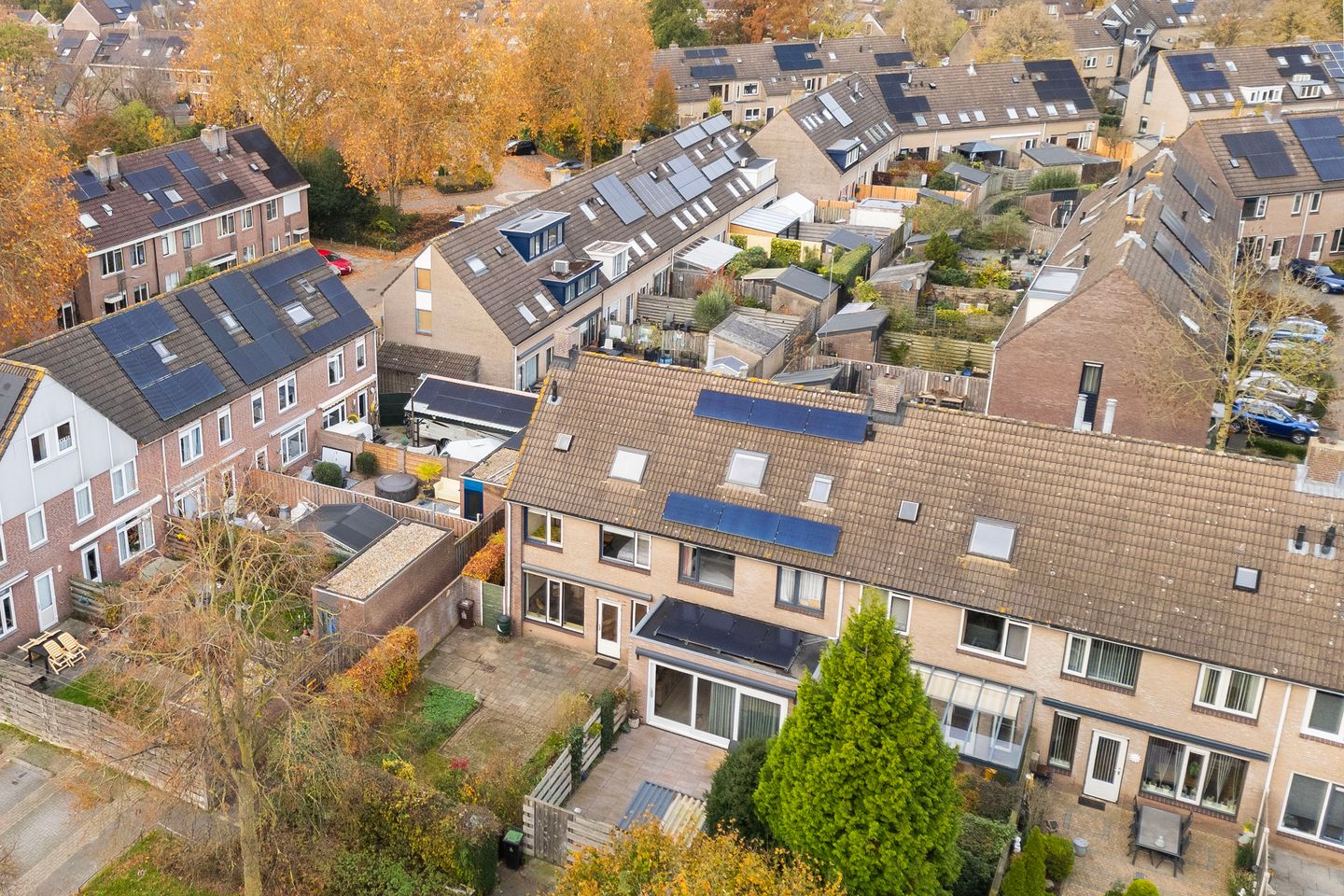 Foto 44 van Friese Steen 22