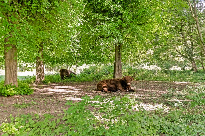 Foto 29 van Frans Halsstraat 22-A