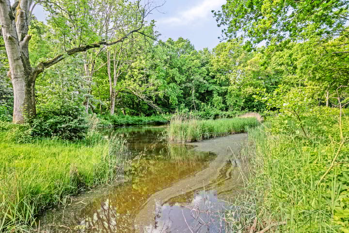 Foto 30 van Frans Halsstraat 22-A