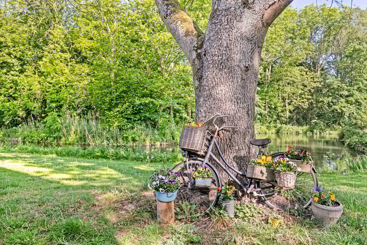 Foto 32 van Frans Halsstraat 22-A