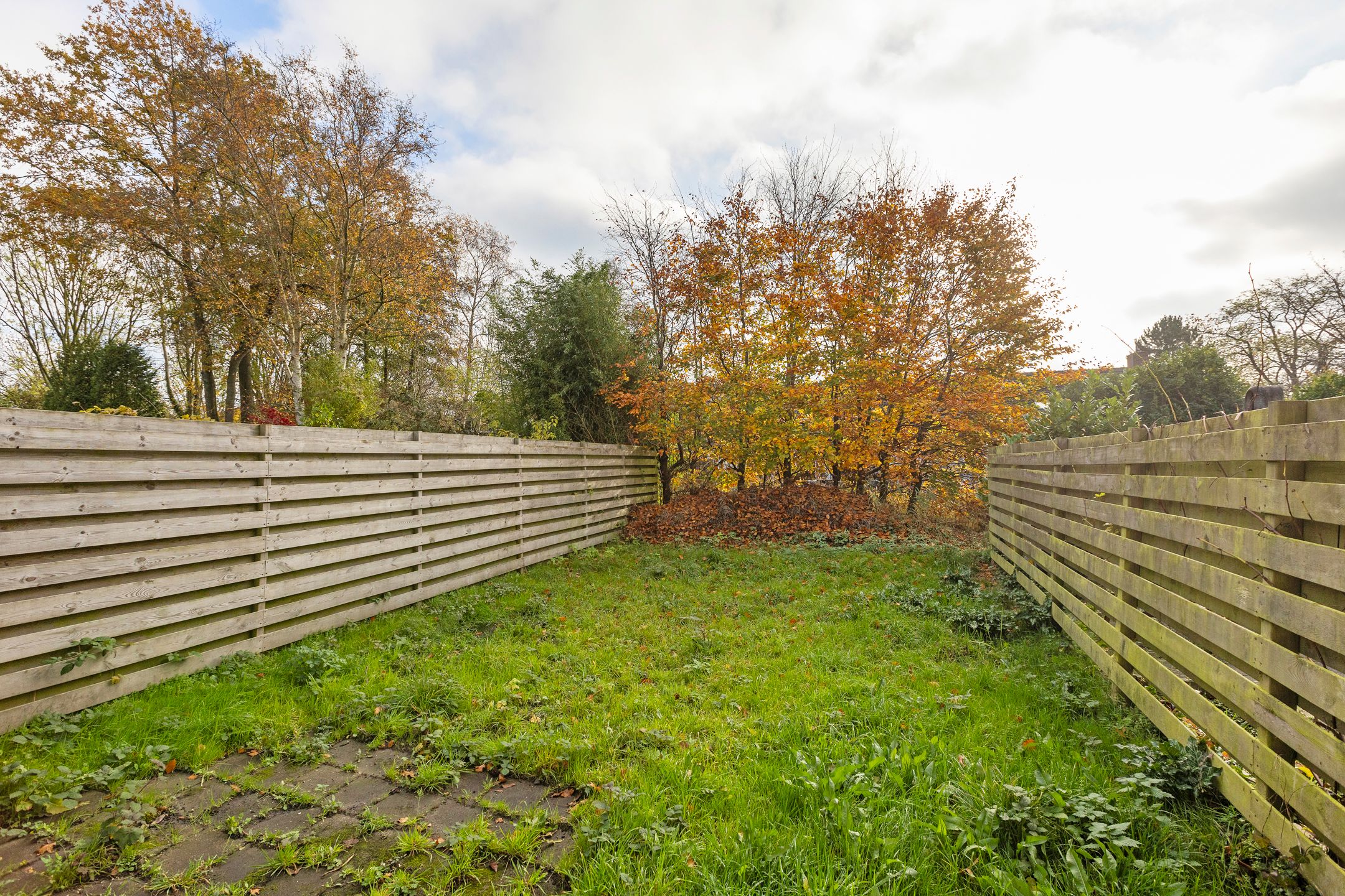 Foto 6 van Godekenheerd 12