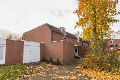 Godekenheerd 12 secondary image