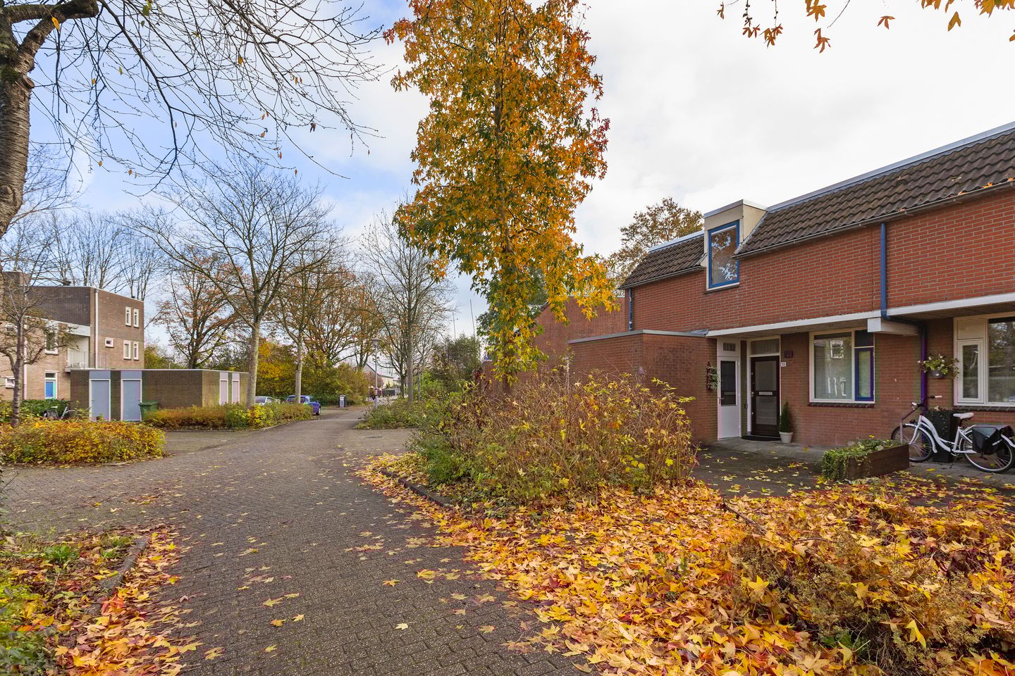 Foto 40 van Godekenheerd 12