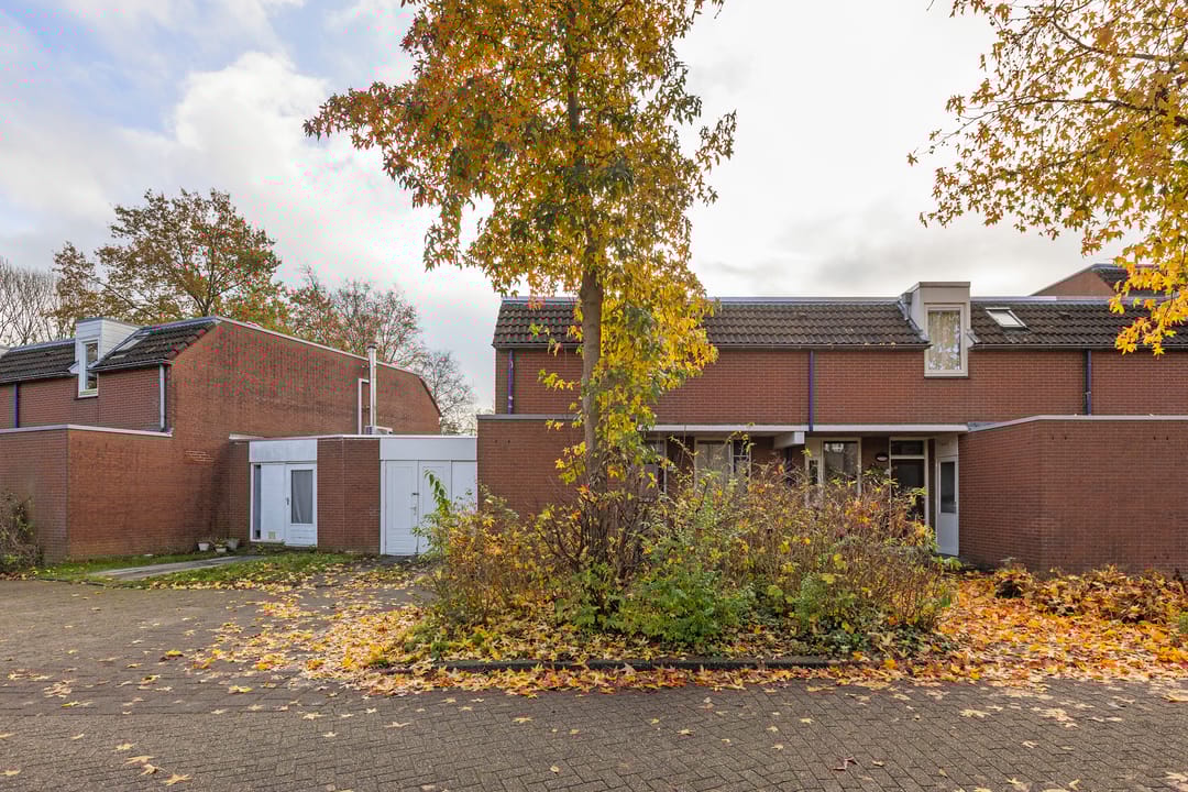 Foto 41 van Godekenheerd 12