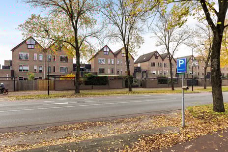 De Zeis 31 tertiary image