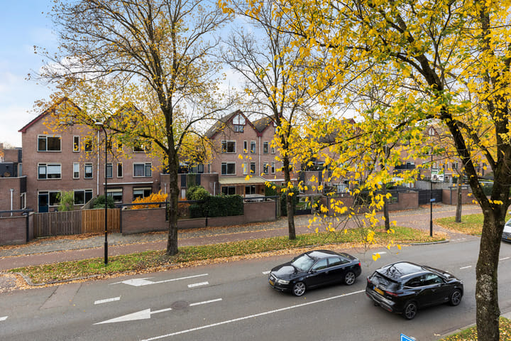 Photo 35 of De Zeis 31