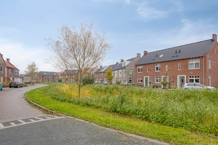 Photo 40 of Fonteinkruid 33