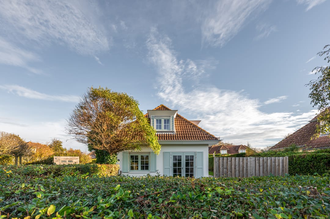 Foto 8 van Branding 17