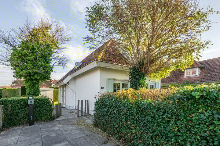 Photo 9 of Branding 17