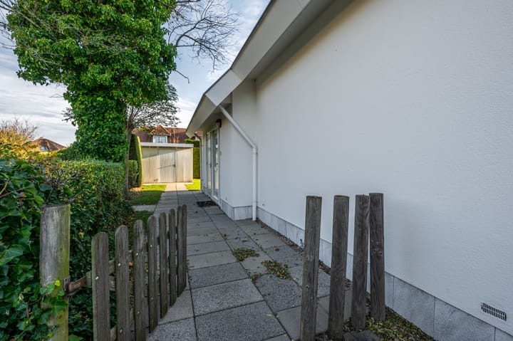 Photo 10 of Branding 17